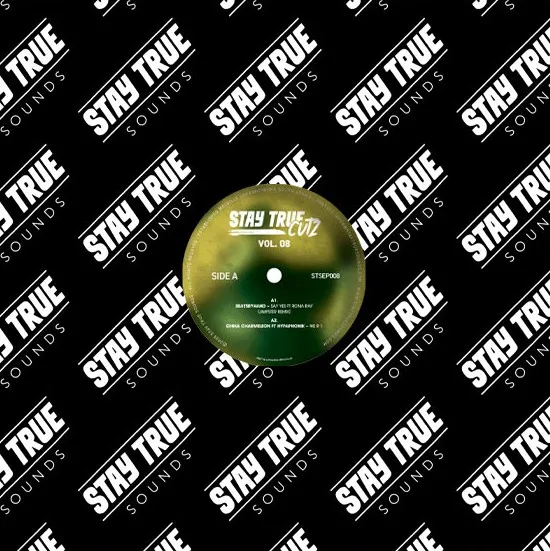 Stay True Cutz Vol.08 (12" LP)