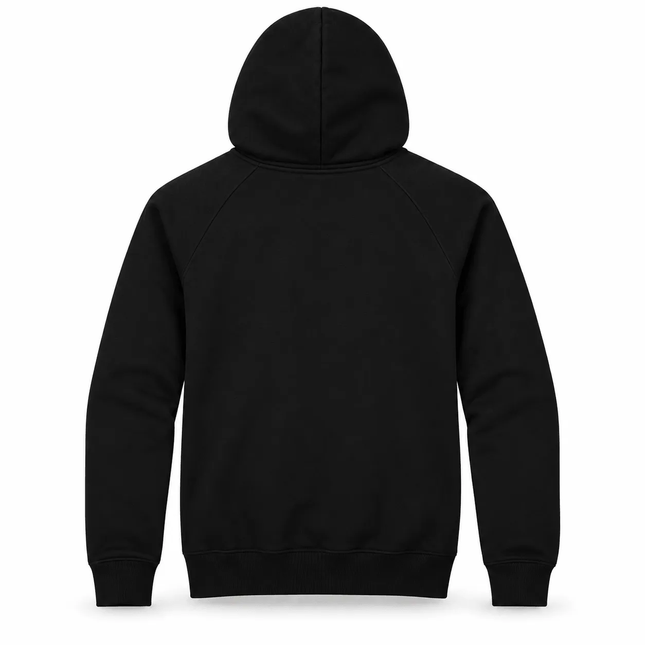 Stay True Sounds Hoodie Back View