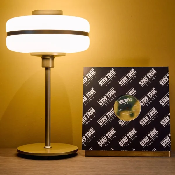 Stay True Cutz Vol.08 (12" LP)